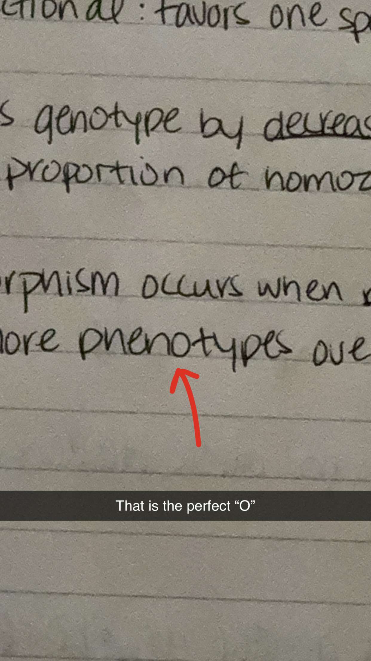 willow.jc snapchat image archive image