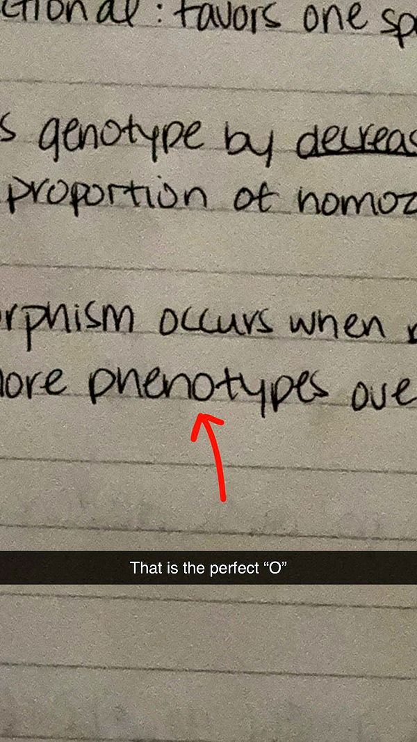 willow.jc image ~ Altpins