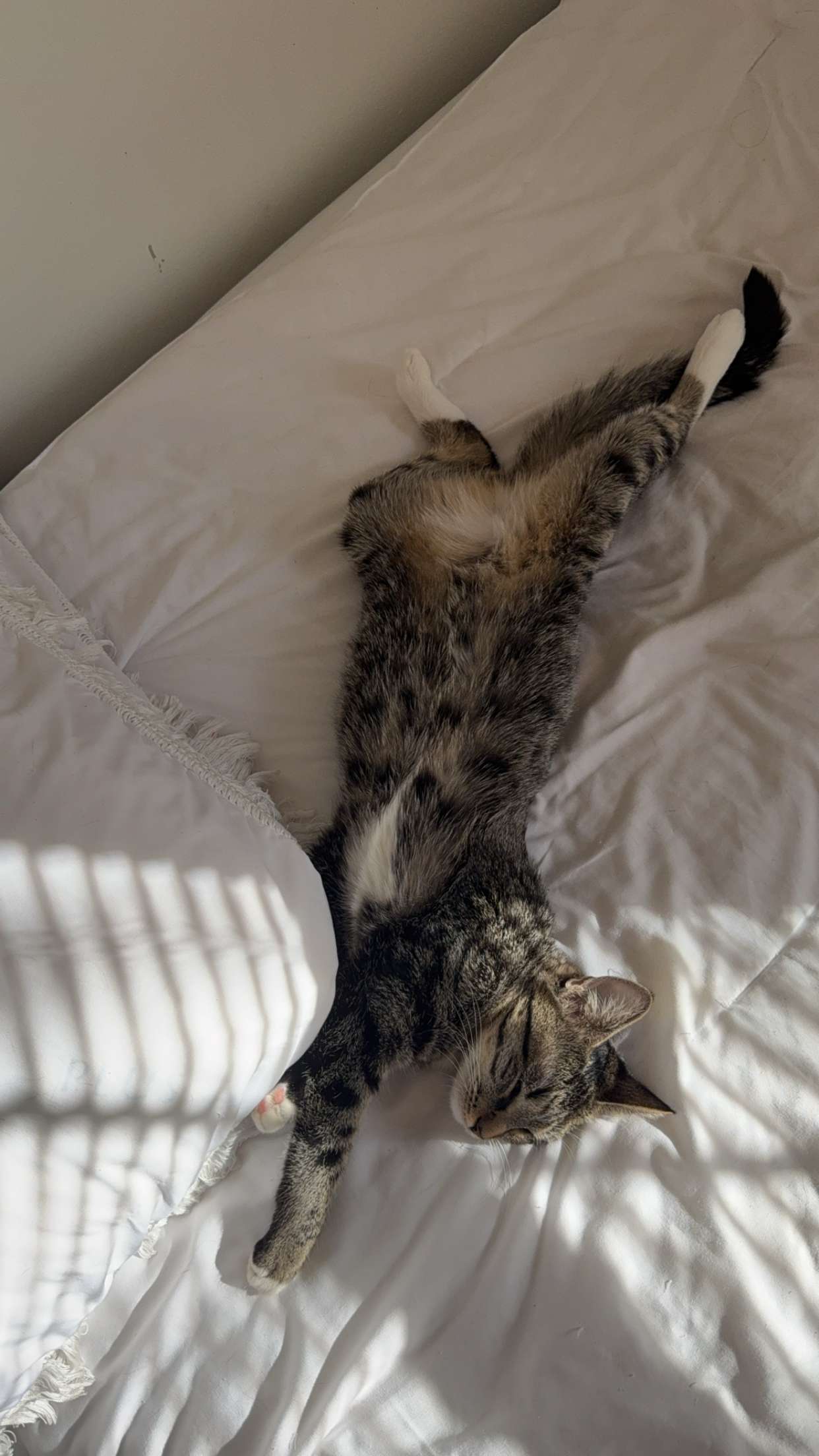 willow.jc snapchat image archive image