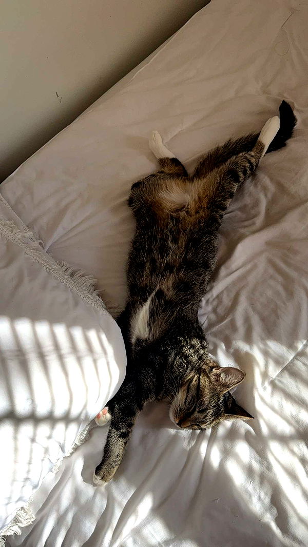 willow.jc image ~ Altpins