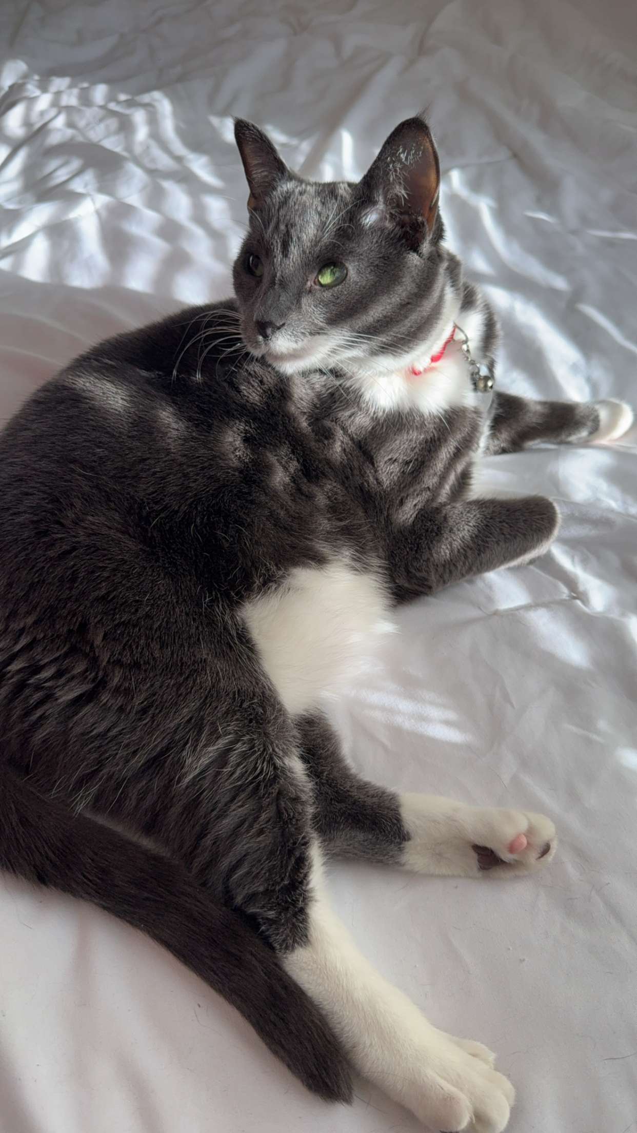 willow.jc snapchat image archive image