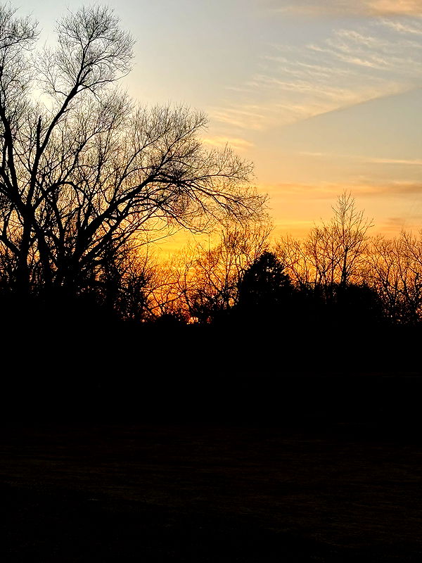 willow.jc image ~ Altpins