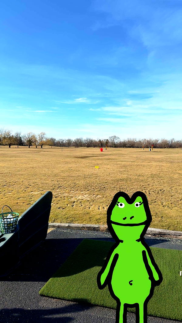 willow.jc image ~ Altpins