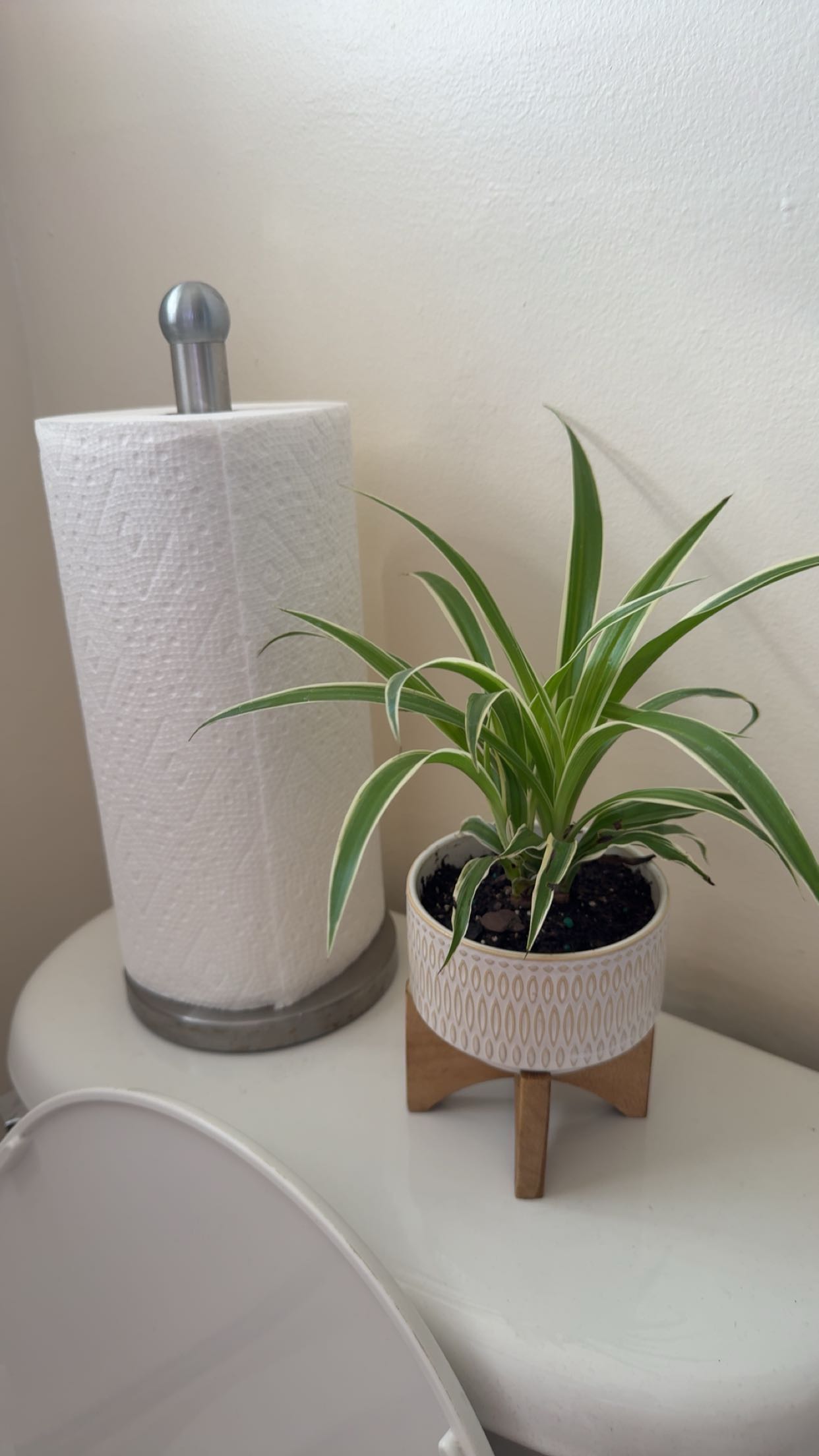 willow.jc snapchat image archive image