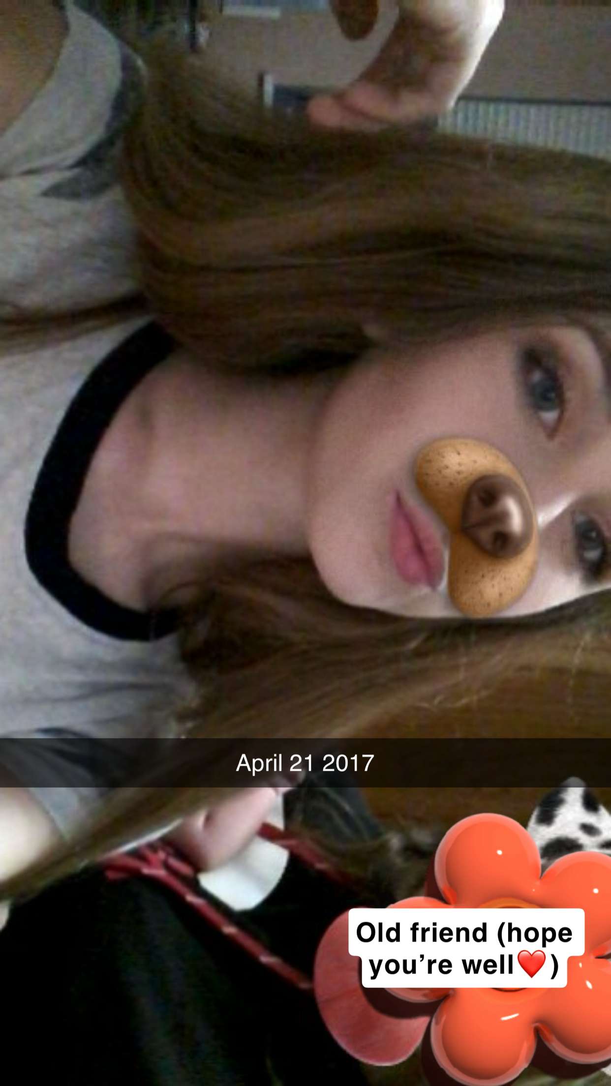 willow.jc snapchat image archive image