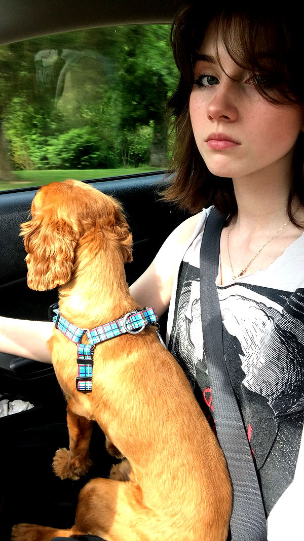 willow.jc image ~ Altpins