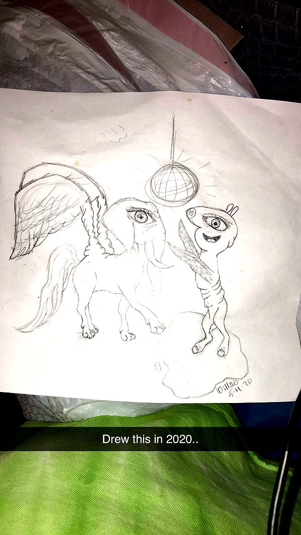 willow.jc image ~ Altpins