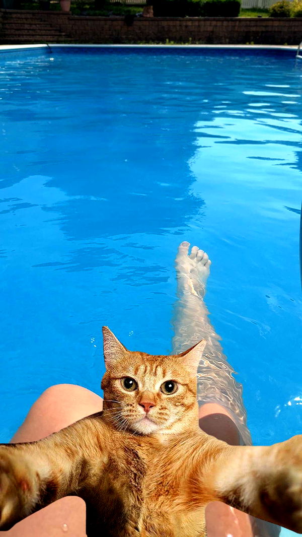 willow.jc image ~ Altpins