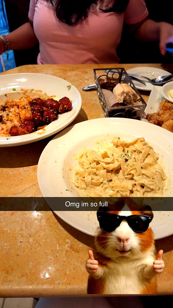 willow.jc image ~ Altpins