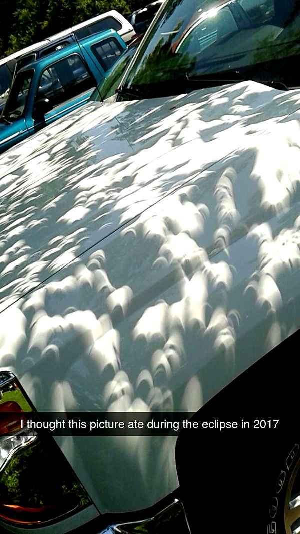 willow.jc image ~ Altpins