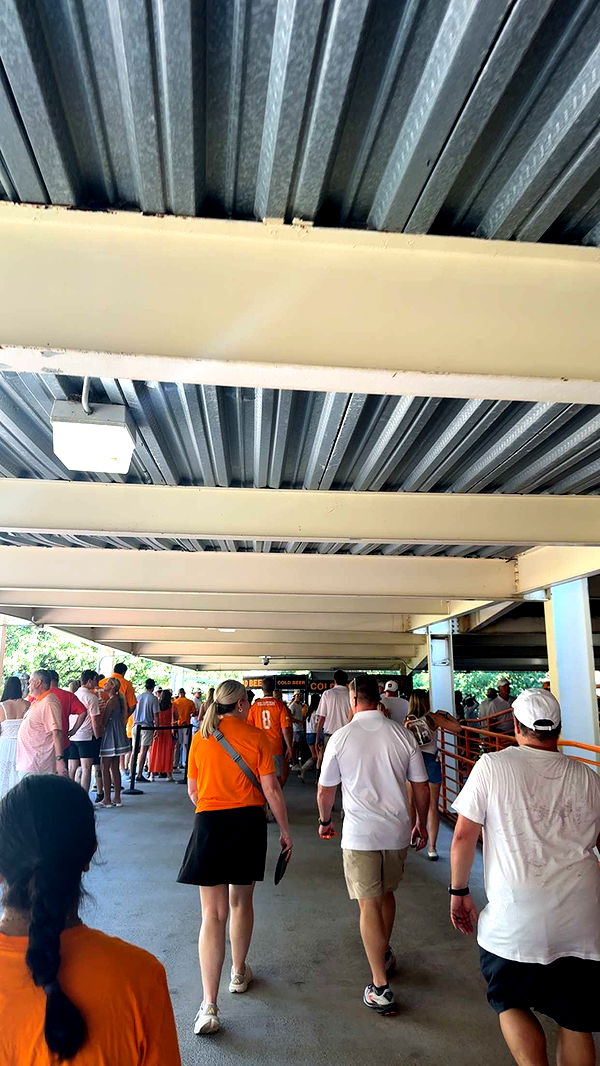 willow.jc image ~ Altpins