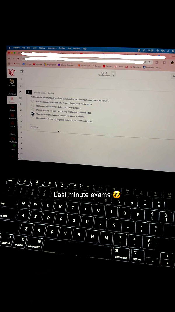 willow.jc image ~ Altpins