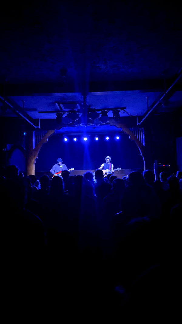 willow.jc image ~ Altpins