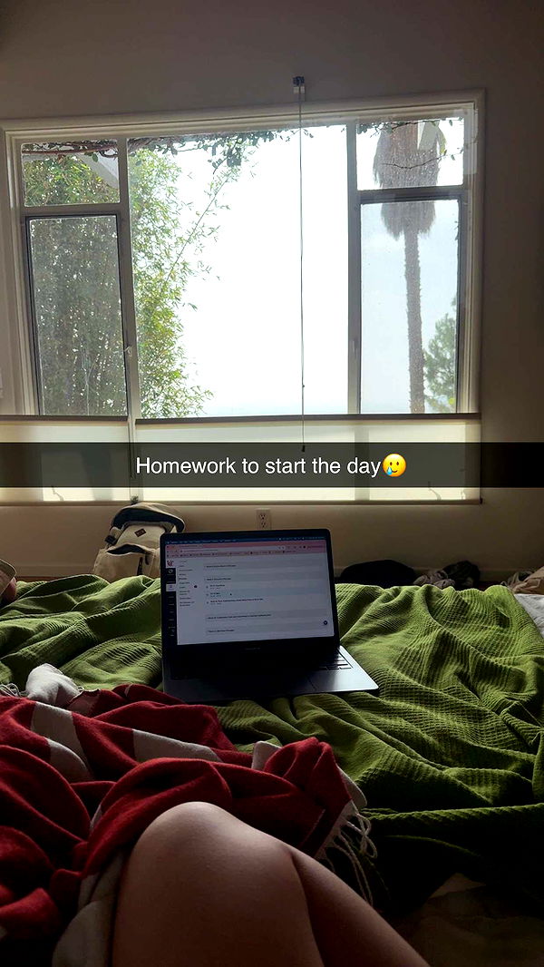 willow.jc image ~ Altpins