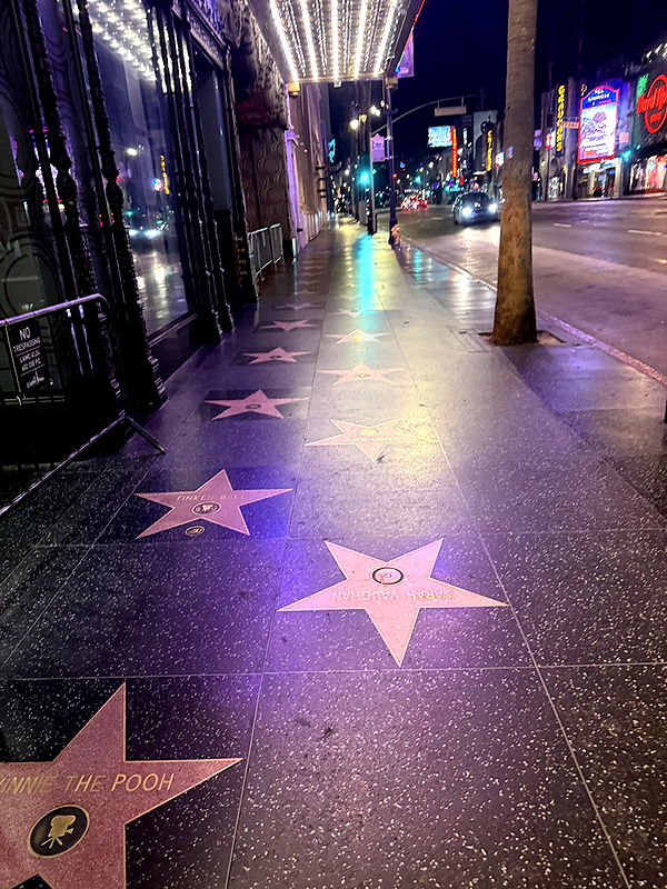 willow.jc image ~ Altpins