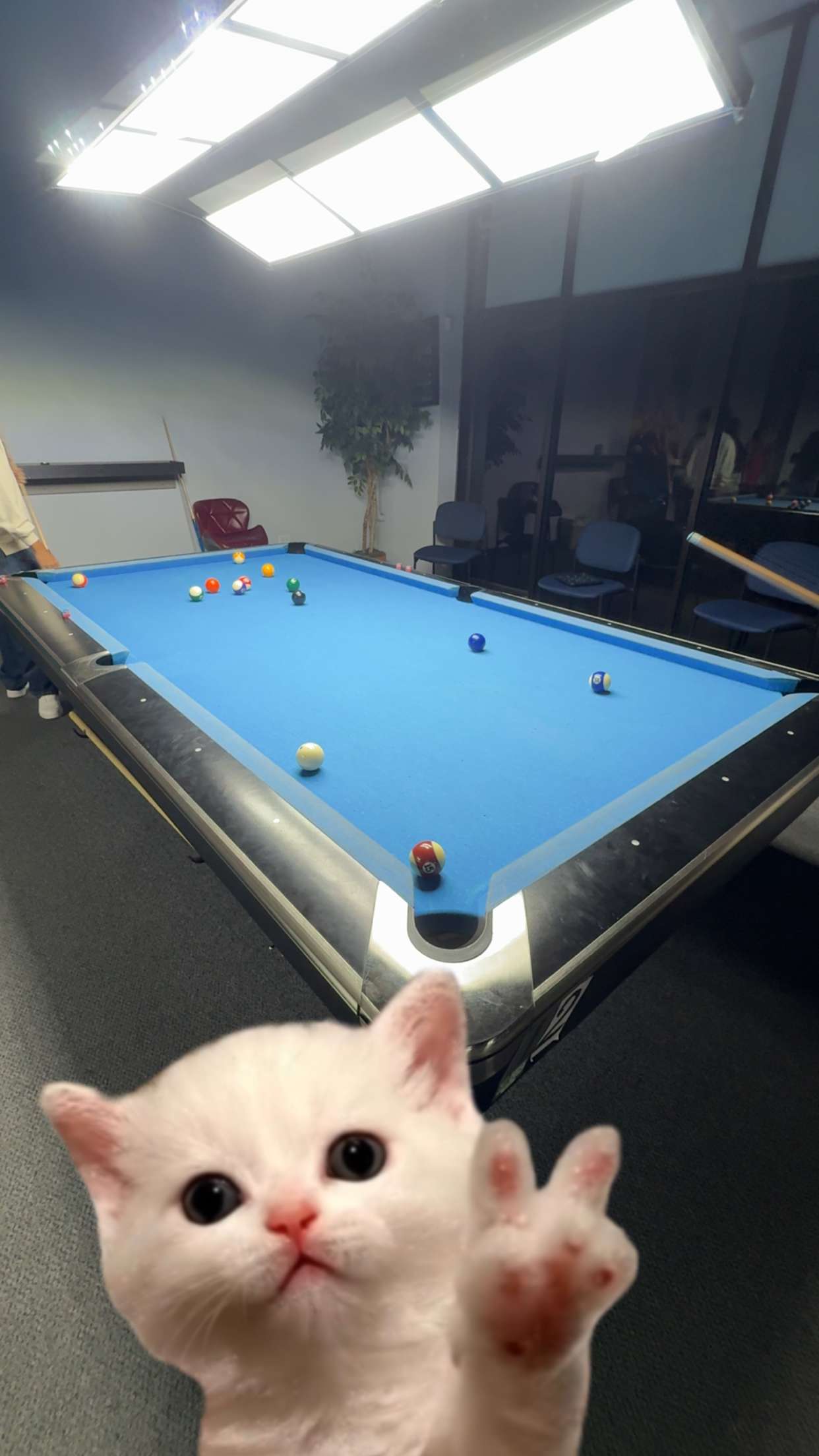 willow.jc snapchat image archive image