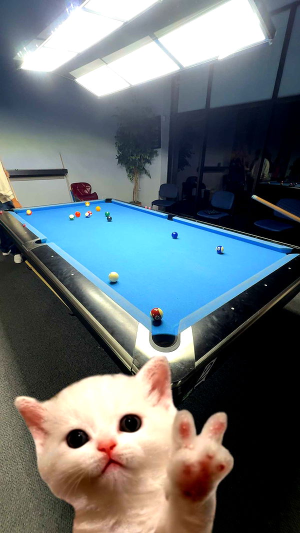 willow.jc image ~ Altpins