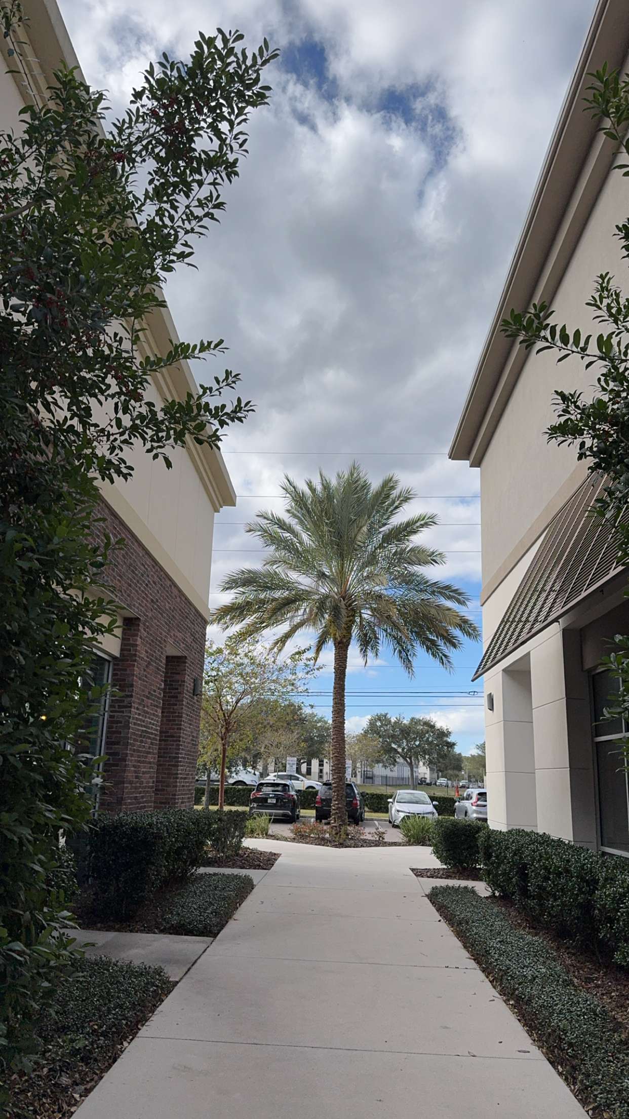 xcatlyn snapchat image archive image