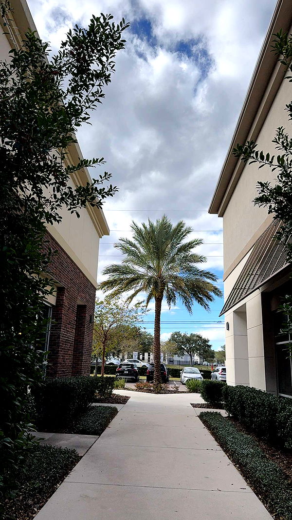 xcatlyn image ~ Altpins