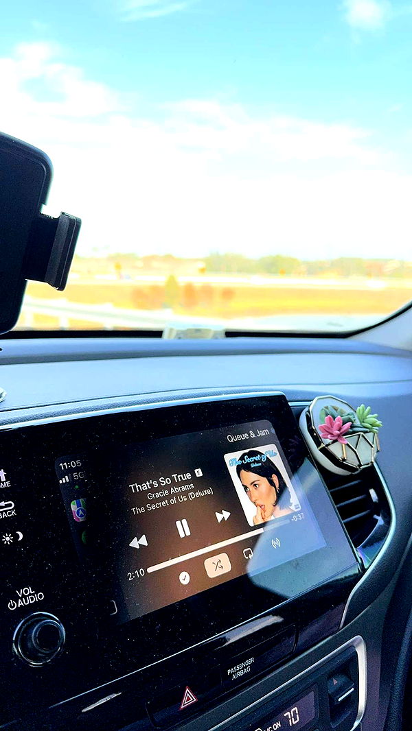 xcatlyn image ~ Altpins