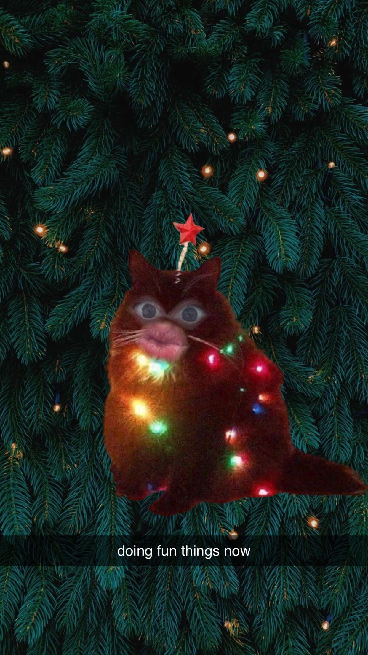 xcatlyn snapchat image archive image