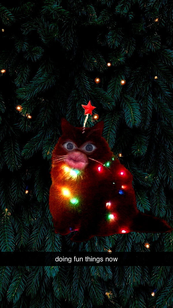 xcatlyn image ~ Altpins