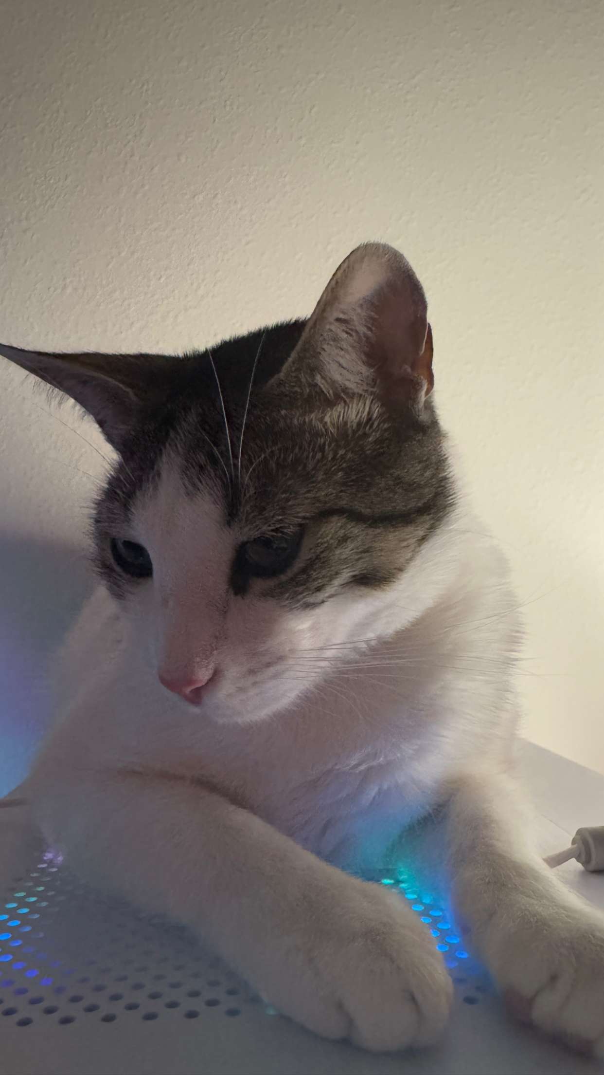 xcatlyn snapchat image archive image