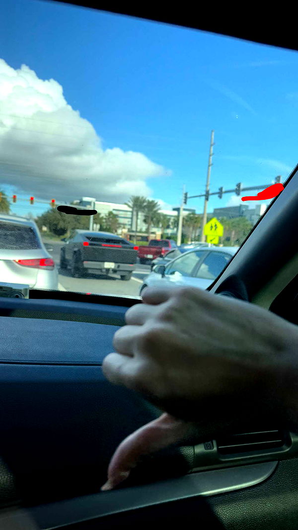 xcatlyn image ~ Altpins