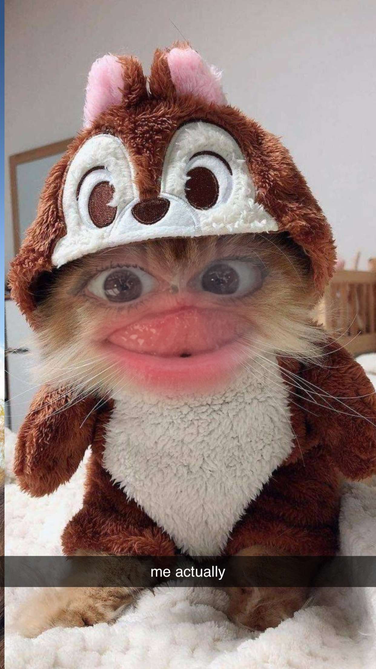 xcatlyn snapchat image archive image