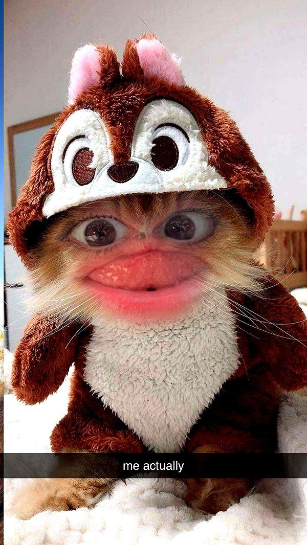 xcatlyn image ~ Altpins