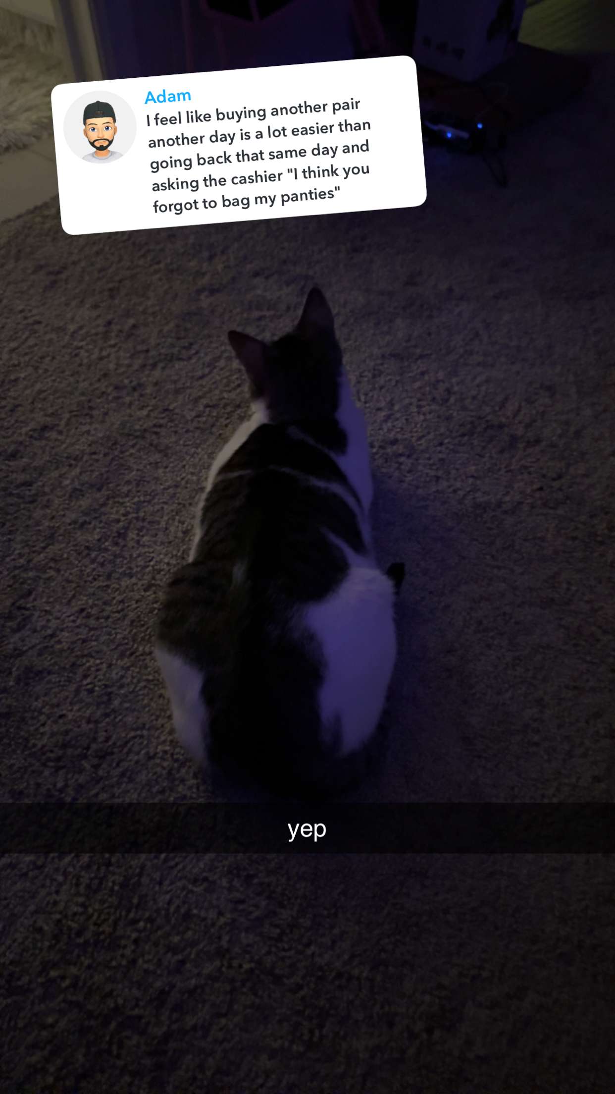 xcatlyn snapchat image archive image