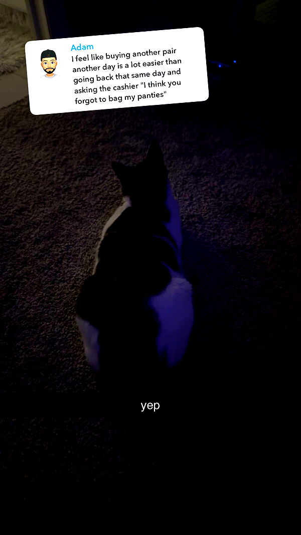 xcatlyn image ~ Altpins