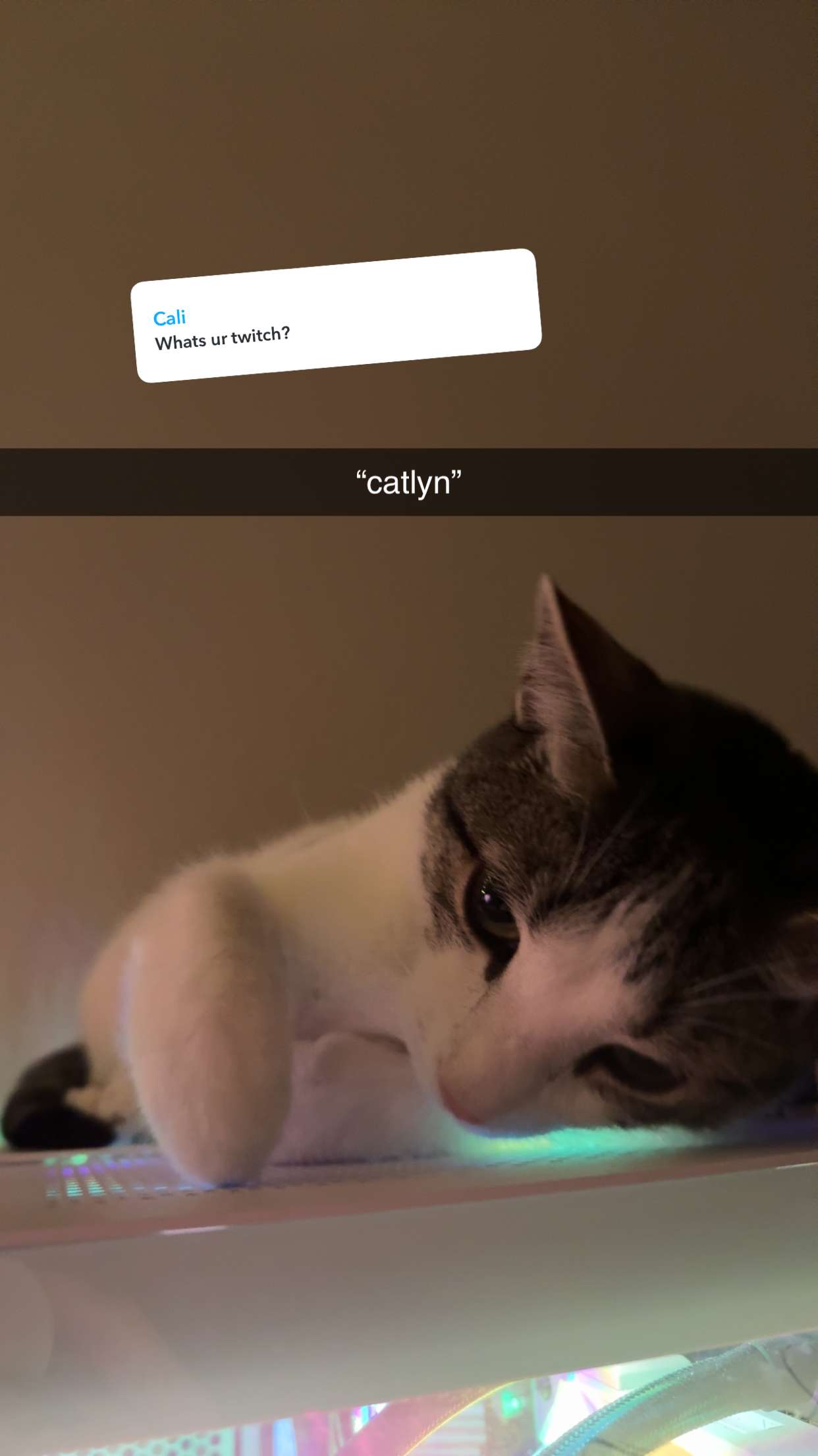 xcatlyn snapchat image archive image