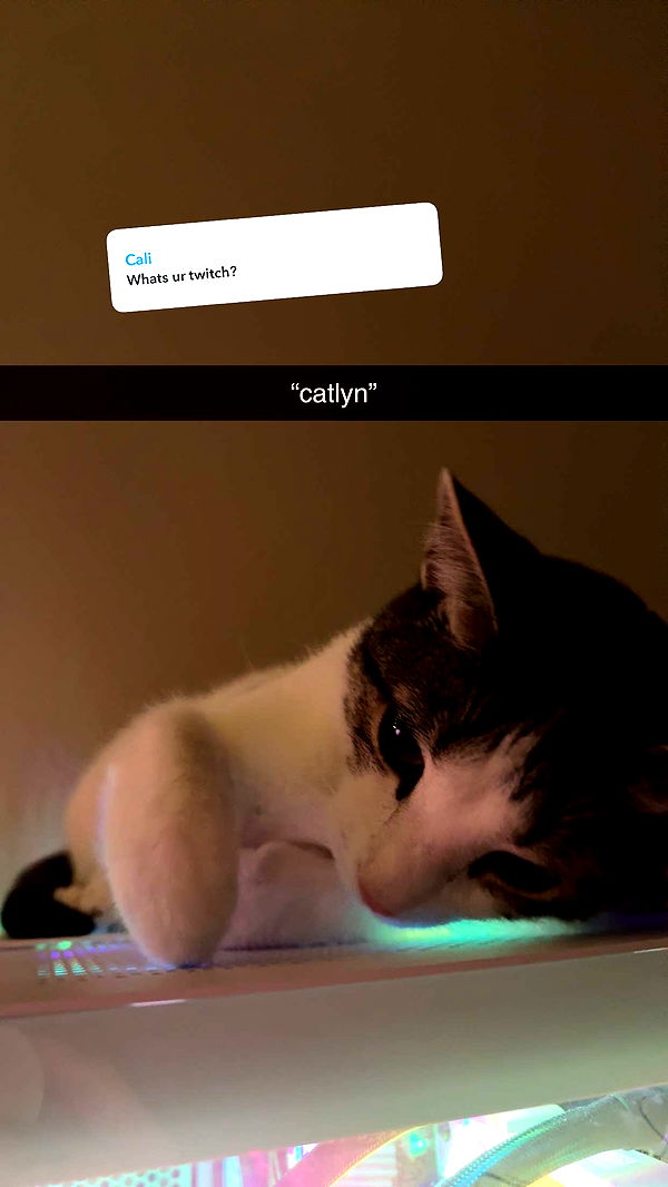 xcatlyn image ~ Altpins