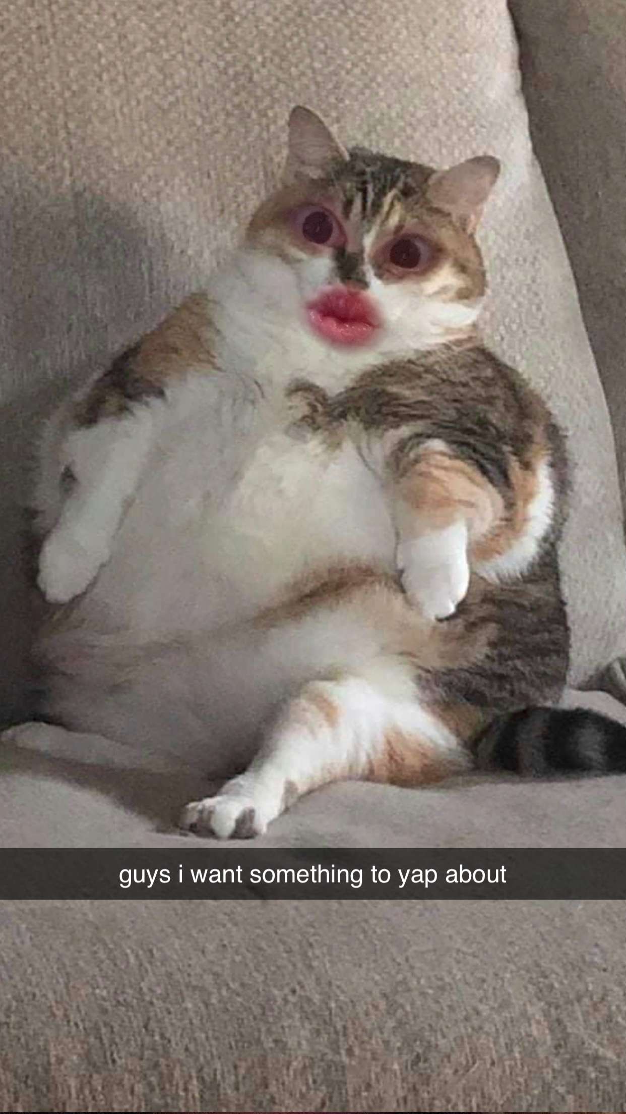 xcatlyn snapchat image archive image