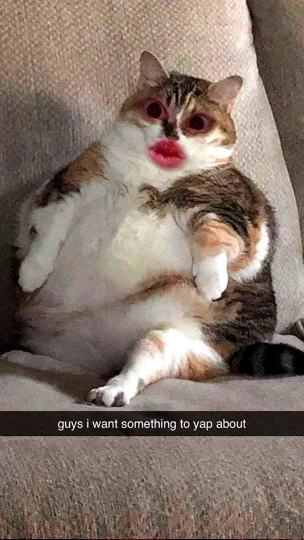 xcatlyn image ~ Altpins