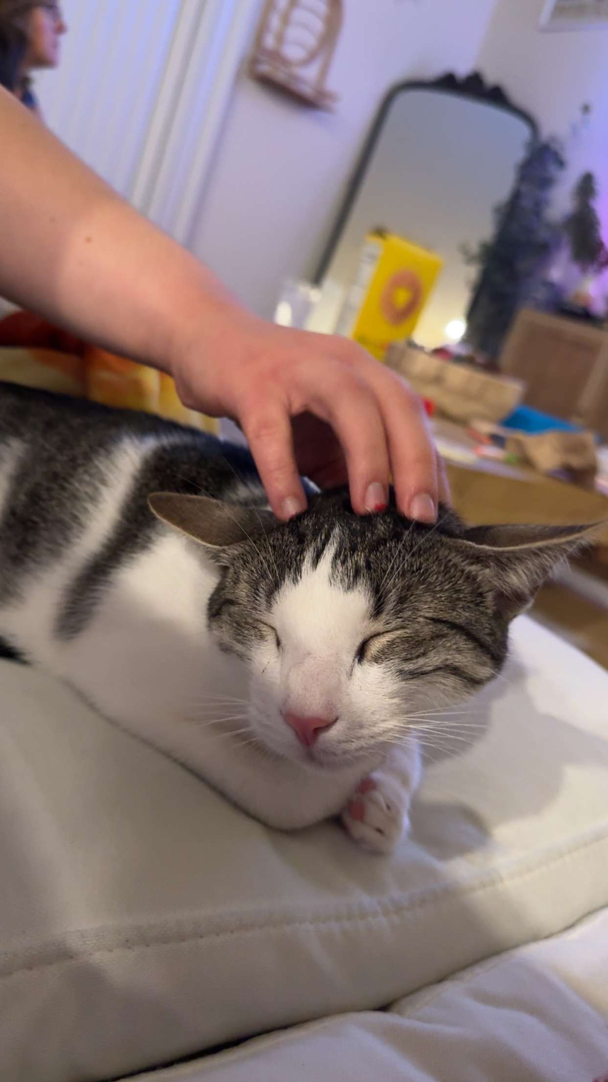 xcatlyn snapchat image archive image