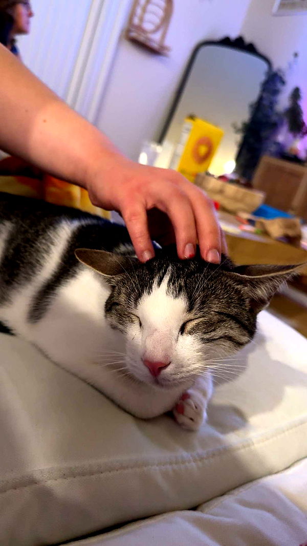 xcatlyn image ~ Altpins