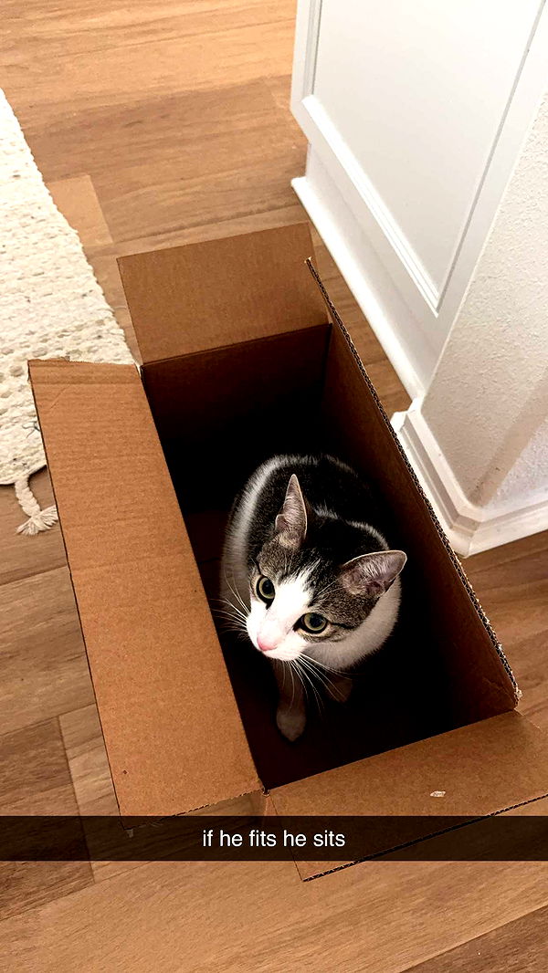 xcatlyn image ~ Altpins