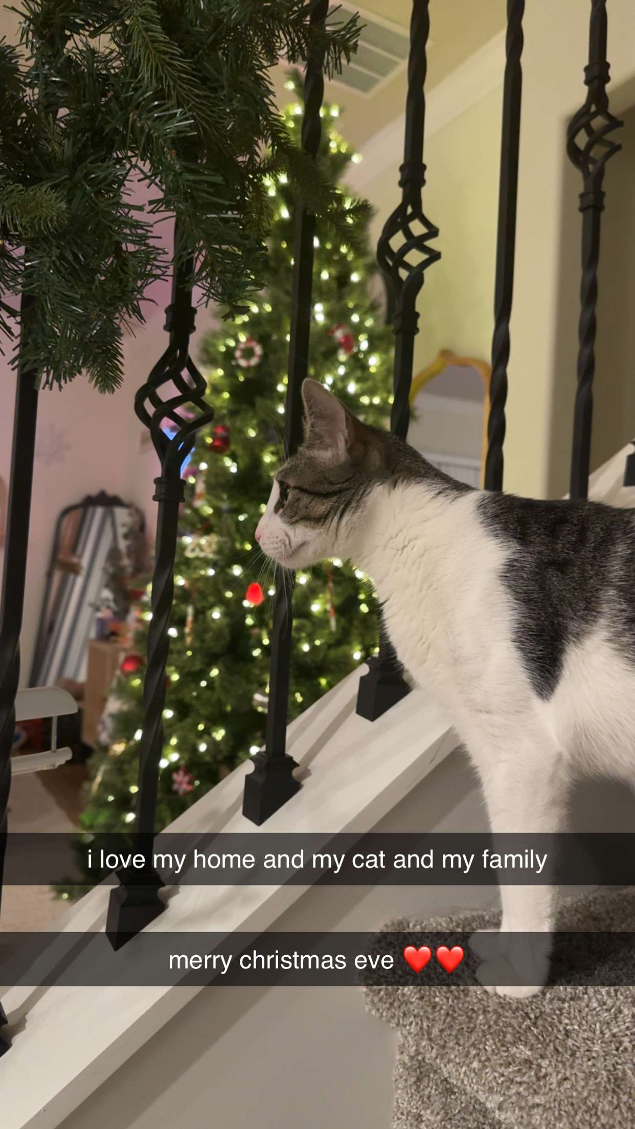 xcatlyn snapchat image archive image