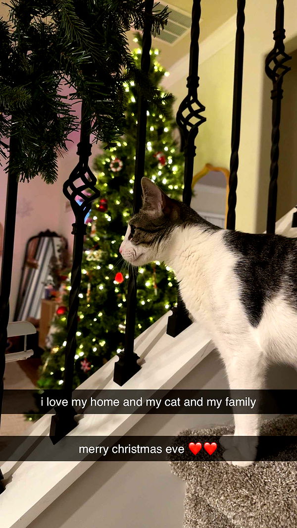 xcatlyn image ~ Altpins