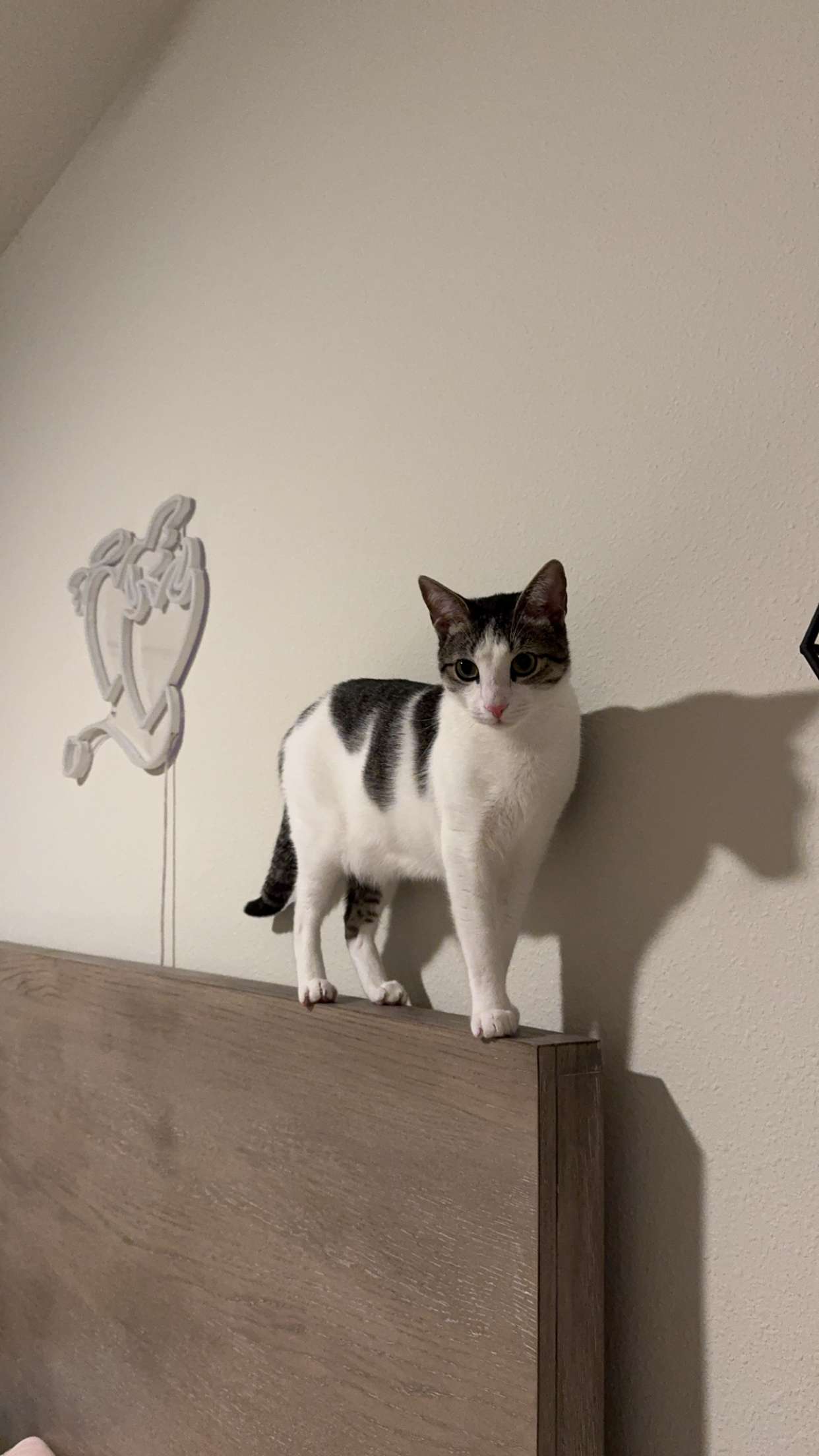 xcatlyn snapchat image archive image