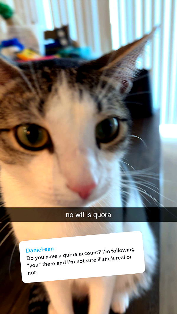 xcatlyn image ~ Altpins