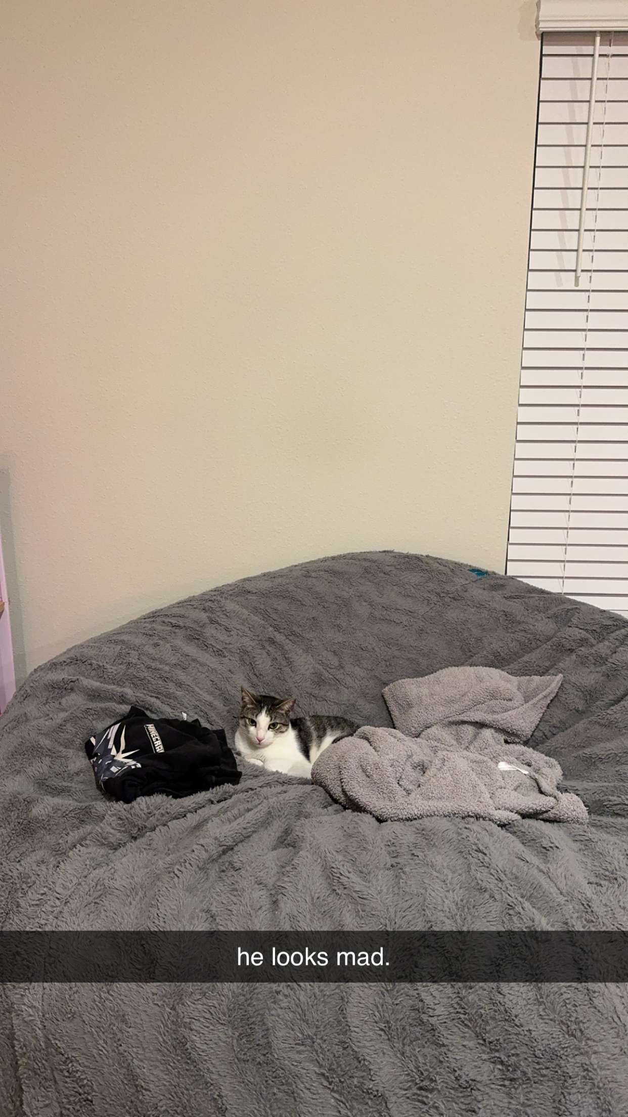 xcatlyn snapchat image archive image