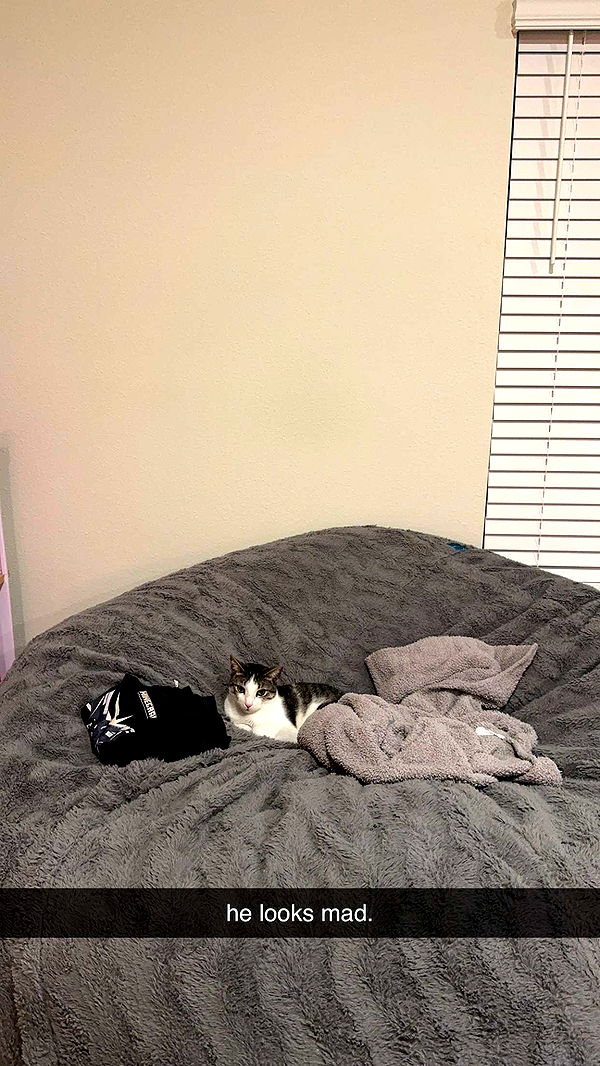 xcatlyn image ~ Altpins