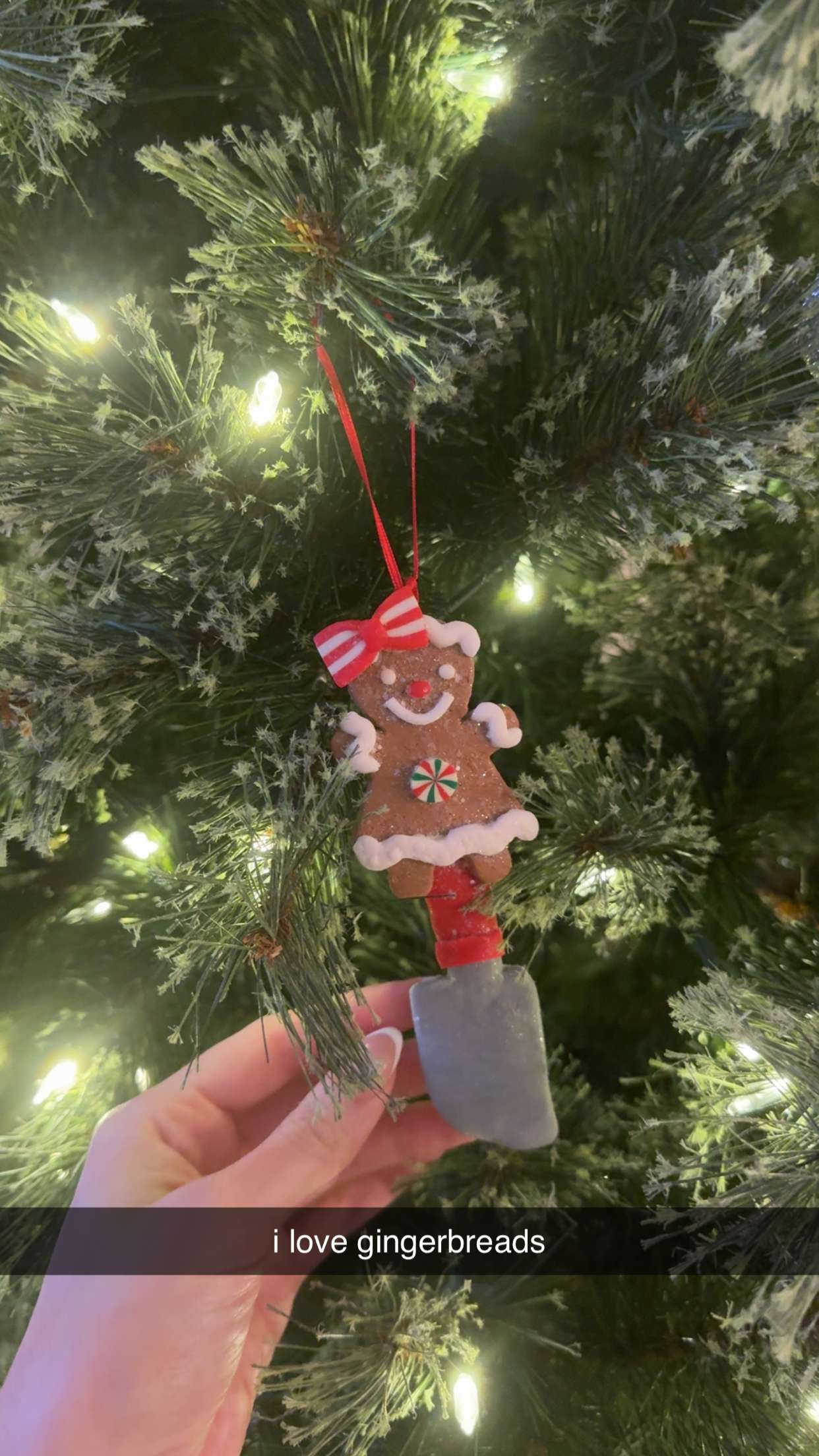 xcatlyn snapchat image archive image