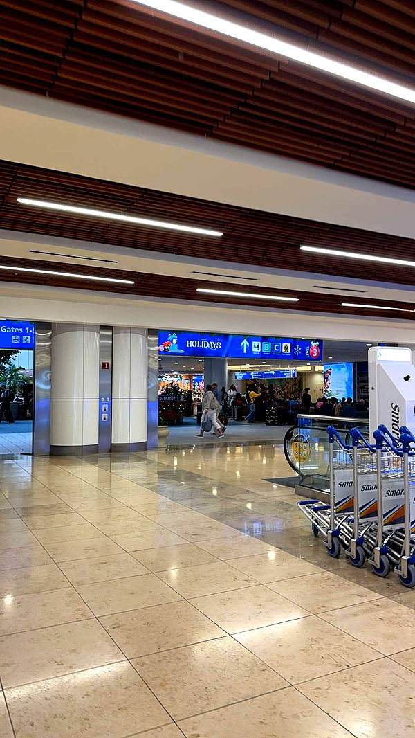 xcatlyn image ~ Altpins