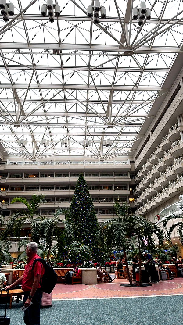 xcatlyn image ~ Altpins