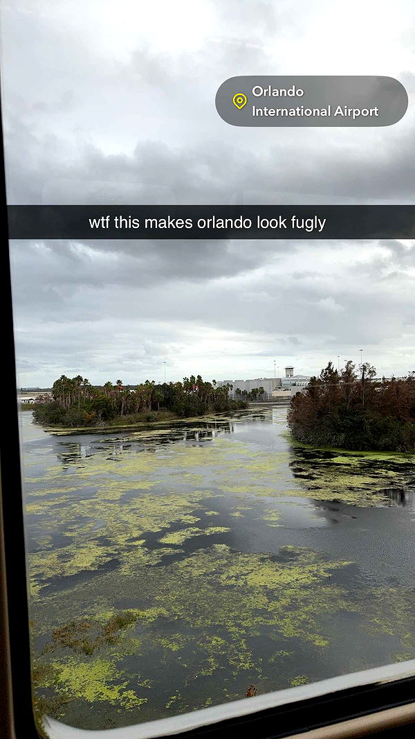 xcatlyn image ~ Altpins