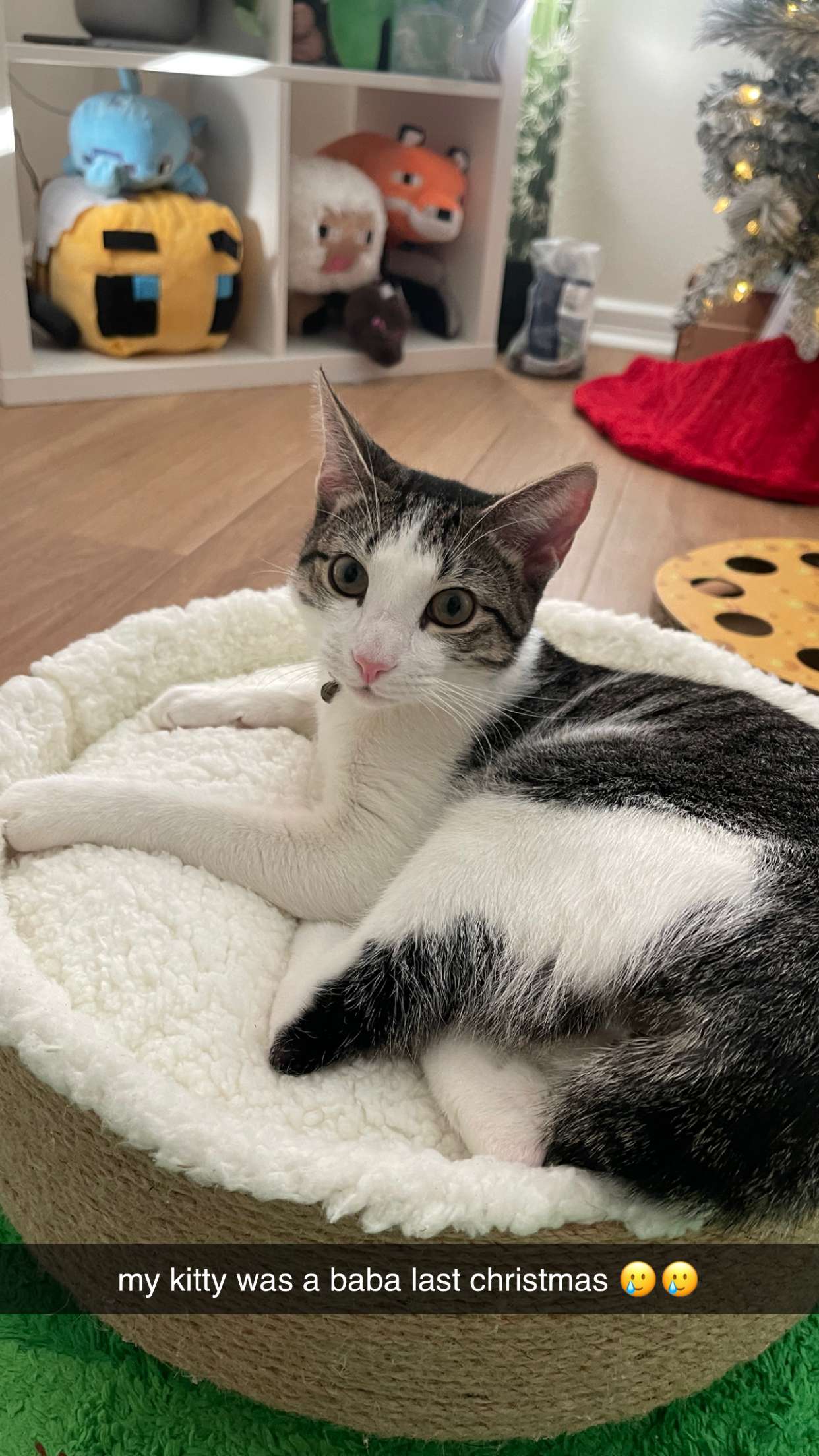 xcatlyn snapchat image archive image